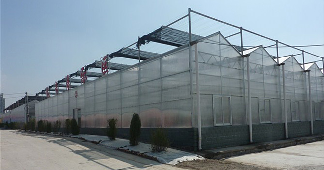 智能溫室大棚展示
