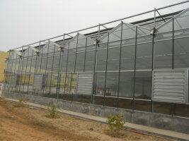 智能溫室大棚展示1